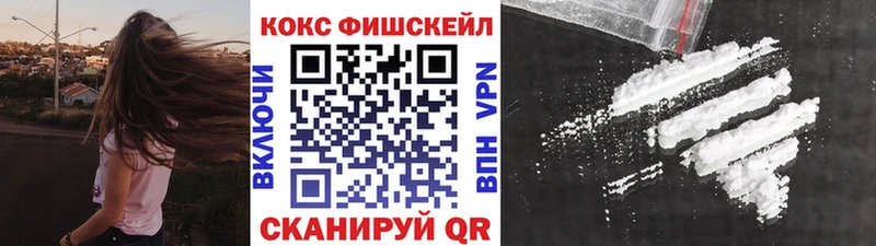 Cocaine Fish Scale  где можно купить   Жуковка 