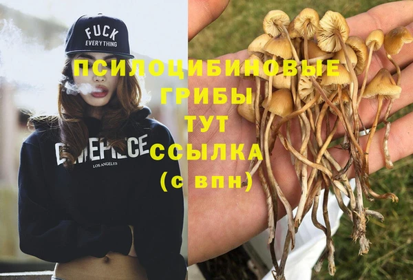 гашиш Алзамай